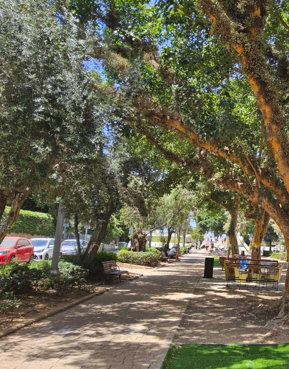 סיור בשדרות בן גוריון