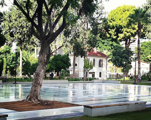 סיור בשרונה - שרונה מתעוררת לחיים 